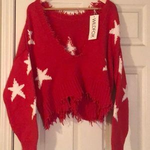 Wildfox Stars Palmetto Sweater